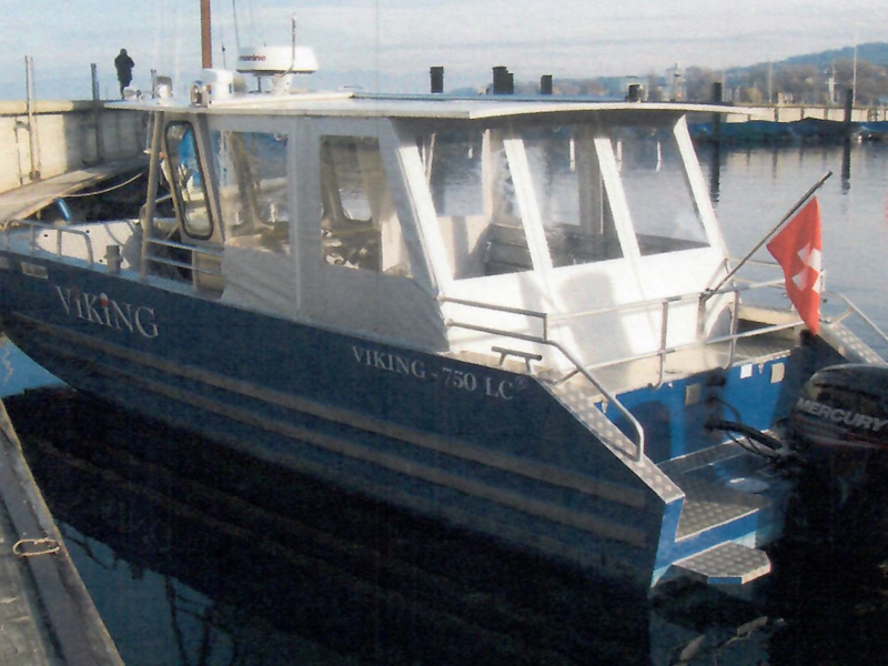 Viking 750